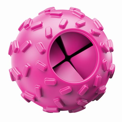 Treat Dispensing Dog Toy (Purple)
