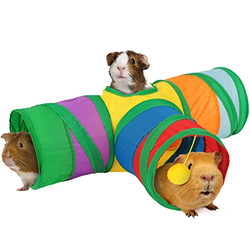 Guinea Pig Tunnel Hideout 3 (Rainbow)