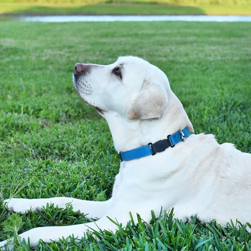 Biothane Waterproof Dog Collar with Herm Sprenger Black Stainless Steel Quick Release Buckle (W 3/4" x L 12"-19" / Cerulean Blue)