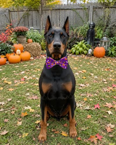 10 Pack Dog Bowties Holiday XL for Extra Large Dogs Sliding Collar (L/XL)