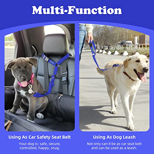 Dog Seat Belt for Car (Dark Blue)