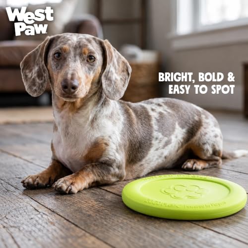 Zisc High Flying Disc Dog Toy (Large / Granny Smith)