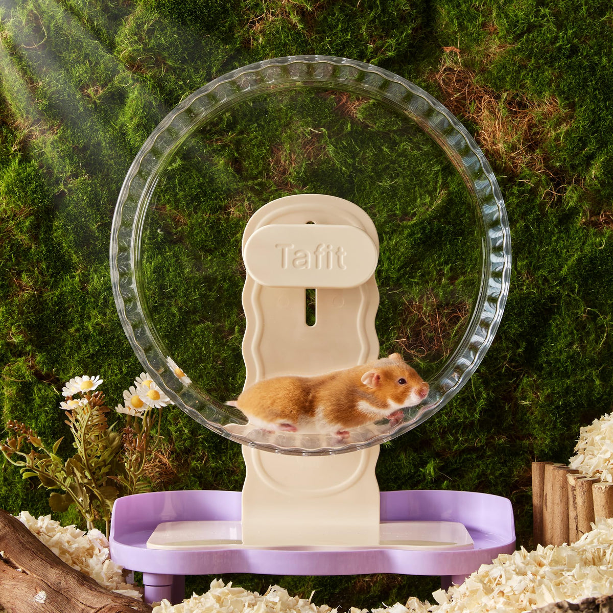 Super‑Silent Hamster Exercise Wheel (10.2inch / Transparent)