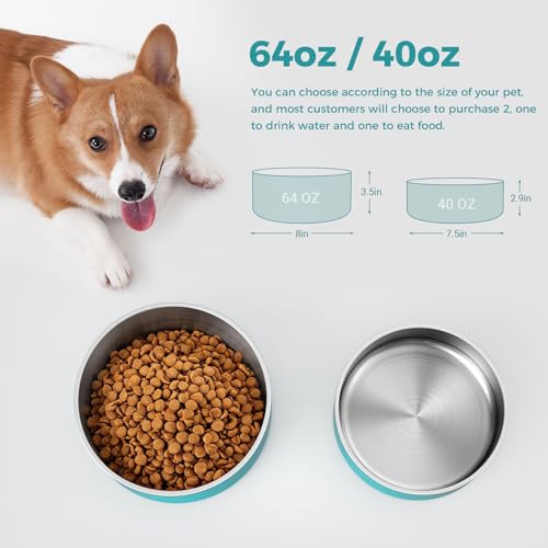 Dog Bowl Stainless Steel Food and Water Bowl (64 oz / Lake Blue)