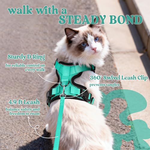 Cat Harness and Leash Set (Xs / Emerald)