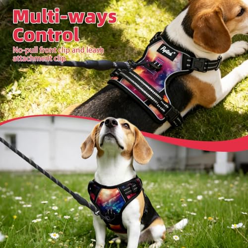 No Pull Tactical Dog Harness for Large (Aurora / Large)