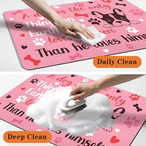 Pet Feeding Mat for Floors Waterproof Dog Mat for Food and Water Absorbent Quick Dry Non Slip mat for Cat Bowls (30"L x 17"W / Pink)
