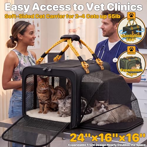 Expandable Large Pet Carrier (24.0"L x 16.0"W x 16.0"H / Black Warrior)