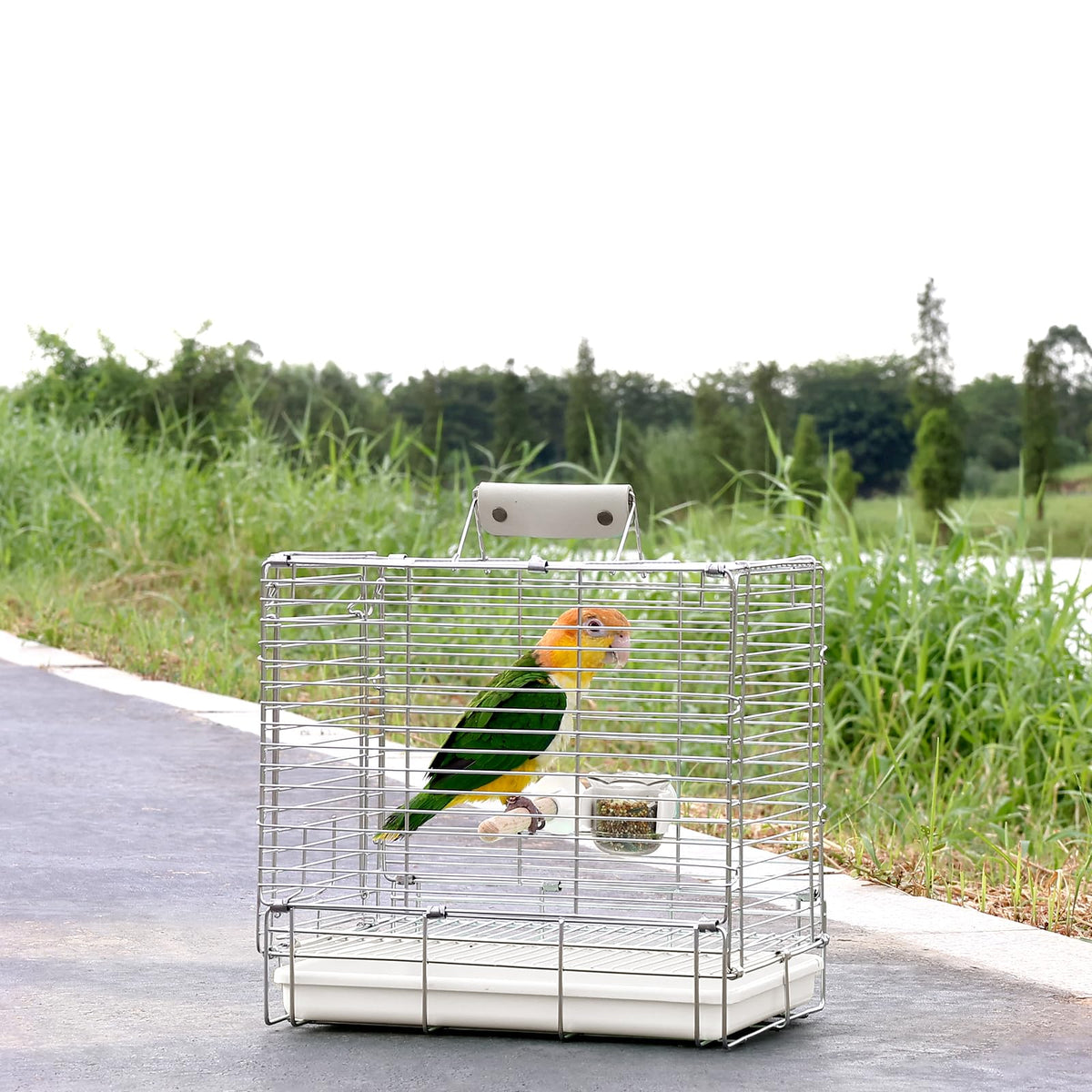 Bird Carrier Travel Cage (White)