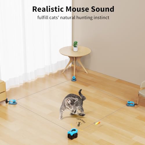 Upgraded Interactive Cat Toy for Indoor Cats Chase (Sky Blue)