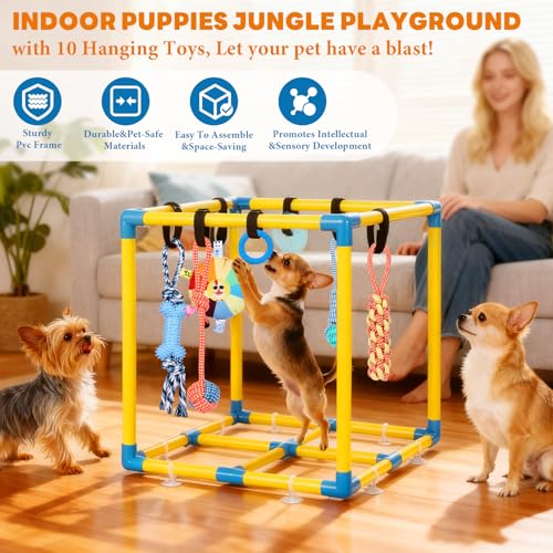 Puppy Play Gym for Small Dogs 10 Hanging Toys (Yellow & Blue)