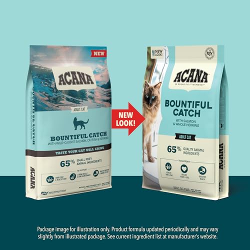 Dry Cat Food Bountiful Catch Salmon Catfish and Herring 4lb Bag (4 Pound (Pack of 1))
