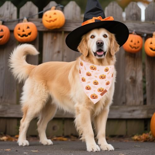 Dog Halloween Bandana (X-Large / Halloween-2)