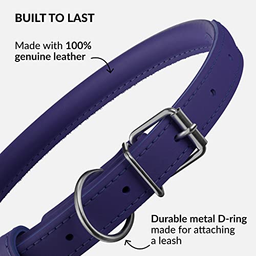 Tangle Free Rolled Leather Dog Collar (Purple / XXL)