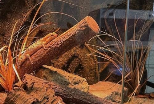 Fake Desert Dry Grass Fake Plants Bearded Dragon Terrarium Decor (Fake Desert Dry Grass)