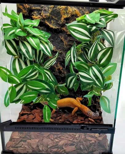 Fake Reptile Plants for Terrarium (Zebrina Green)