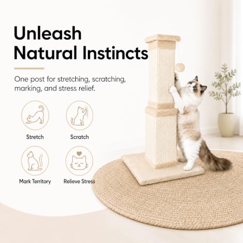 Cat Scratching Post for Indoor Cats (Beige)