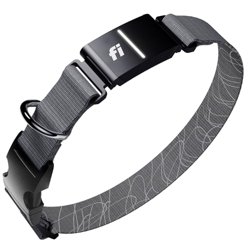 Series 3+ GPS Dog Collar & Tracker (Gray / X-Large)