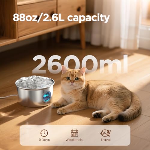Cat Water Fountain Stainless Steel
