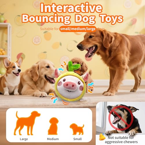 Bouncing Piggy Dog Toy (Upgraded Pig)