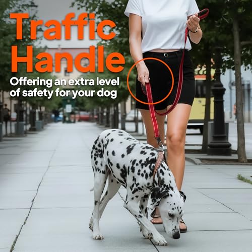6FT 1IN Heavy Duty Dog Leash for Large Dogs with 2 Padded Handles (Blue / 1 in x 6 ft)
