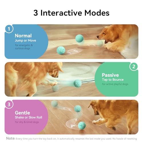 Smart Interactive Dog Toy (Aqua)