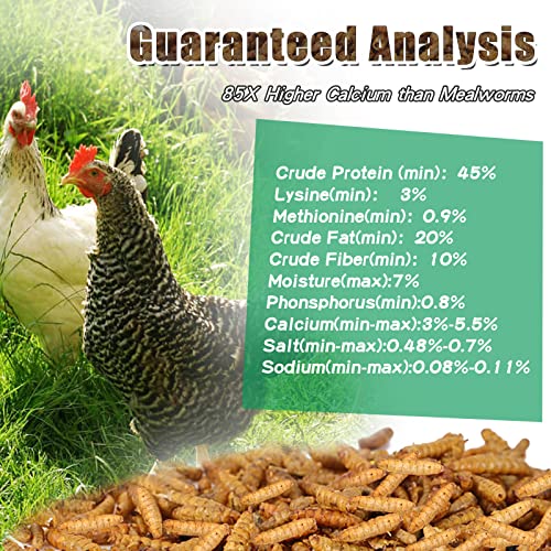 44lb Dried Black Soldier Fly Larvae for Chickens Hen High Protein Duck Food (44 Pound (Pack of 1))