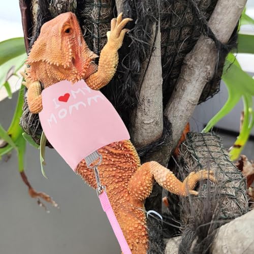 Small Animal Travel Backpack Carrier (Pink)