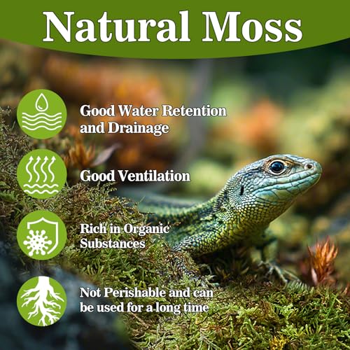 Sphagnum Moss for Reptiles (5.5 Ounces / Green)
