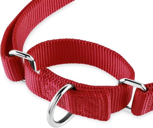 Martingale Collar for Dogs (XL / Red)