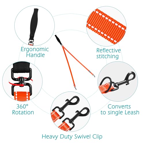 Two Point Control Dog Leash (Orange)