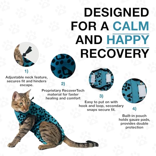 Cat Recovery Suit Female and Male (Blue / 2XSmall)