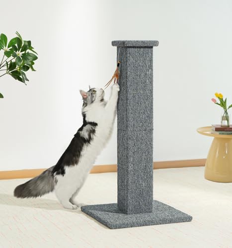 Made4Pets Cat Scratching Post for Indoor Cats (Grey-Carpet)