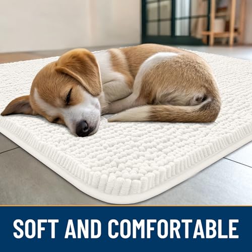 Dog Door Mat for Muddy Paws 24x16 (Ivory / 24"X16")