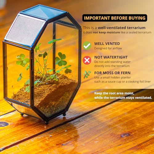 Mini Vented Glass Terrarium with Vent and Door for Jumping Spiders (5 x 2.3 x 7 inches)