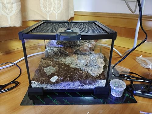 Mini Reptile Glass Terrarium Tank (7.9x7.9x5.7inch)