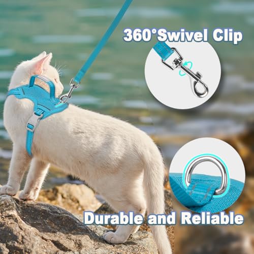 Cat Harness and Leash Set Escape Proof for Kitten Walking (Small / Blue)