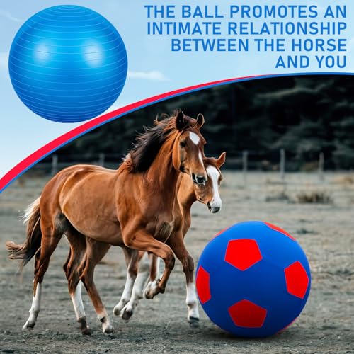 Giant 30 Inch Herding Balls with Ball Cover (Blue / 30 Inch / Stylish)