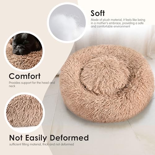 Dogs Bed for Small Dogs (Camel / 24.0"L x 24.0"W x 8.0"Th)