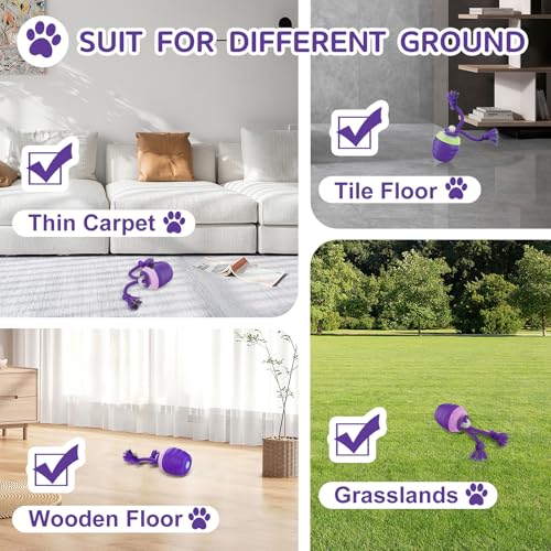 Interactive Dog Toy (Purple / Medium/Large)