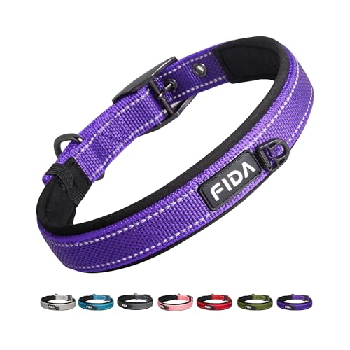 Heavy Duty Dog Collar for Large Dogs with Metal Belt Buckle (Large(19"-23") / Purple)