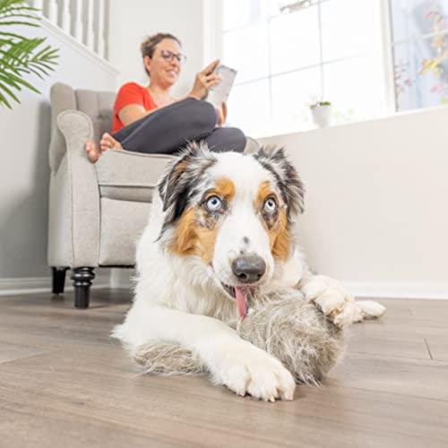 Doggie Tail Interactive Plush Automatic Dog Toy (Classic Doggie Tail / Full Unit)