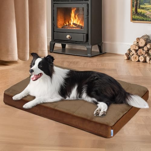 Dog Bed for Large Dog (Khaki / 35"L x 23"W x 3"H)