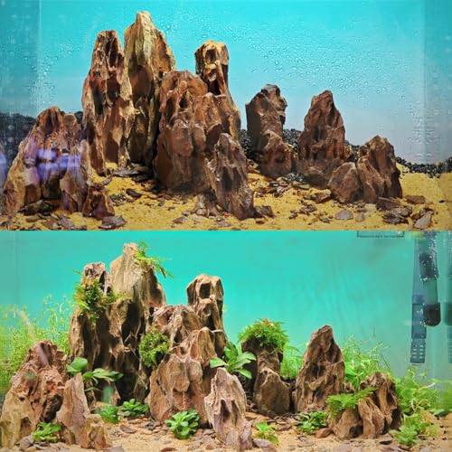 Aquarium Rocks 5lb Dragon Stone for Aquariums Aquascaping Landscaping Model Fish Tanks Terrariums Vivariums Decoration Paludarium Amphibian Enclosures (5LB(2-4 Inches))
