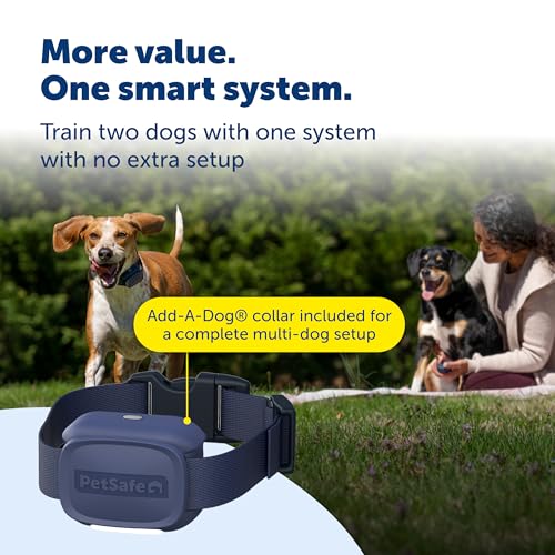 Core Dog Trainer with Remote and Add (2-Dog Trainer)