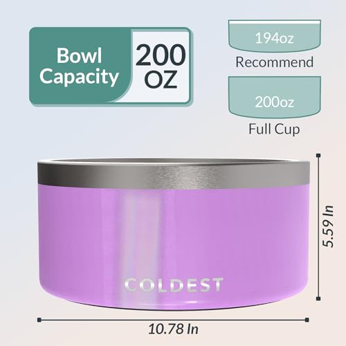 Coldest Dog Bowl (200 oz / Saturns Purple Glitter)