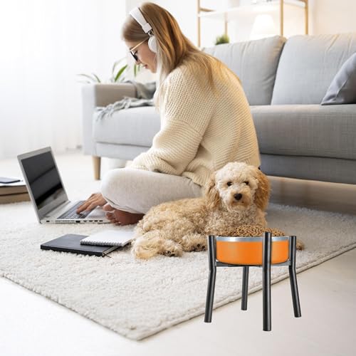 Lifted Dog Bowl Stand (Middle-HIGH-10IN)