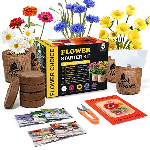 Indoor Daisy Garden Starter Kit with Gardening Tools