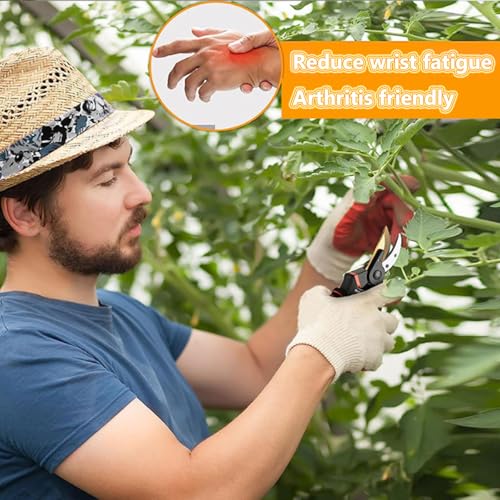 Germany Pruning Shears For Gardening (Red/Black)