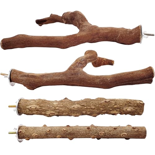 4PCS Bird Perch Natural Wooden Parrot Stand